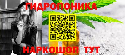 амф Новодвинск