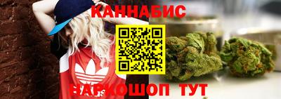 амф Новодвинск