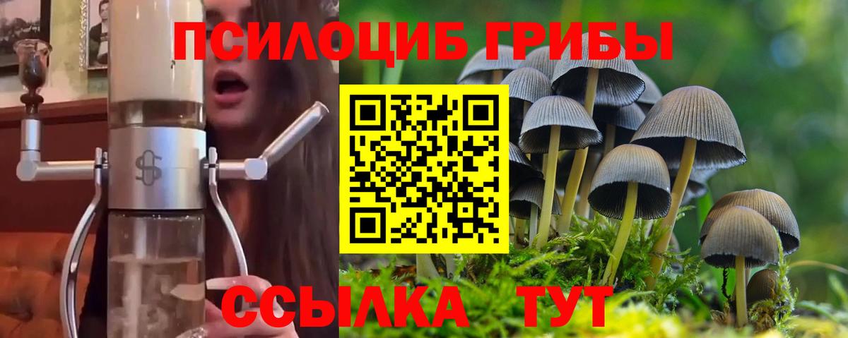 Галлюциногенные грибы MAGIC MUSHROOMS  Галлюциногенные грибы мицелий  Вход с VPN  сколько стоит  Рязань 